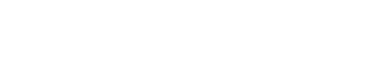 Cyber Phoenix Pro
